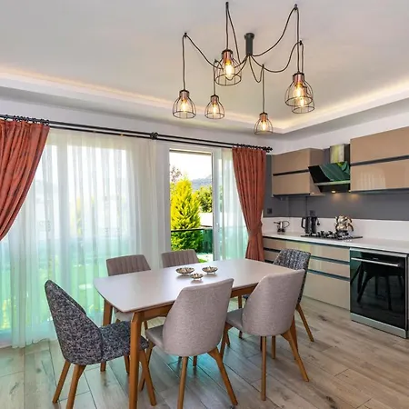 4 Beds, Luxury In Hisaroenue Oeluedeniz Mia Villa *